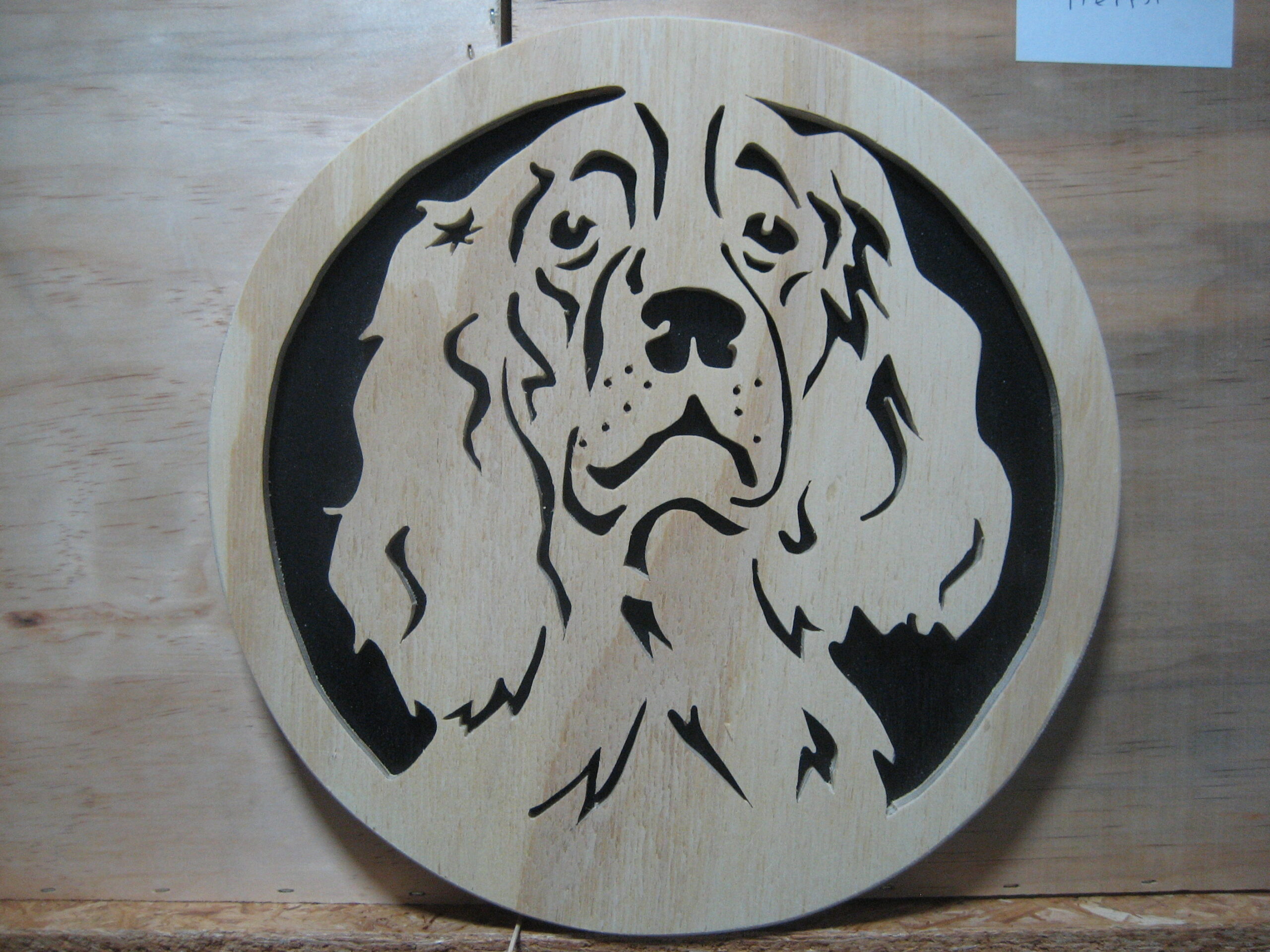 Engelse Springer Spaniel