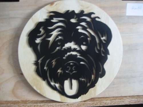 bouvier des flandres