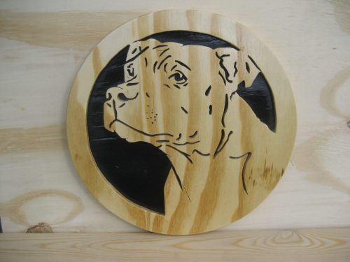 bul terrier