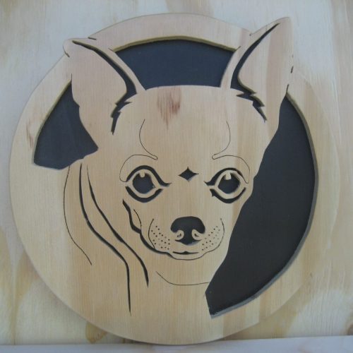 chihuahua