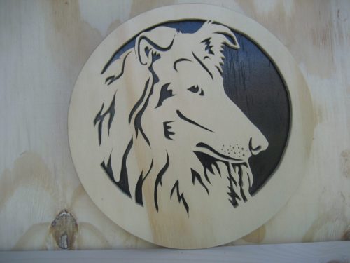 collie