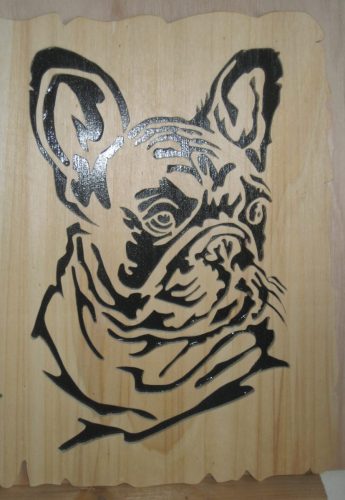 franse buldog