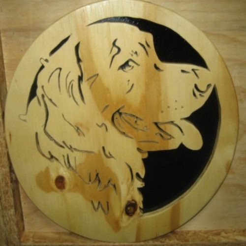golden retriever r