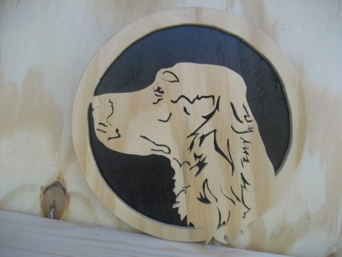 ierse setter