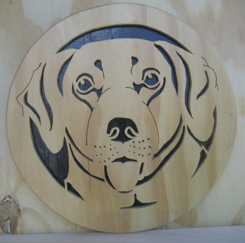 labrador 2