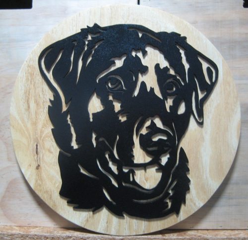 labrador