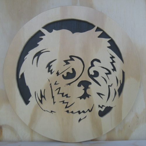 lhasa apso