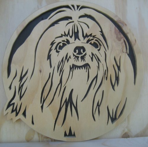 shih tzu 2