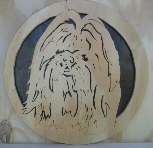 shih tzu