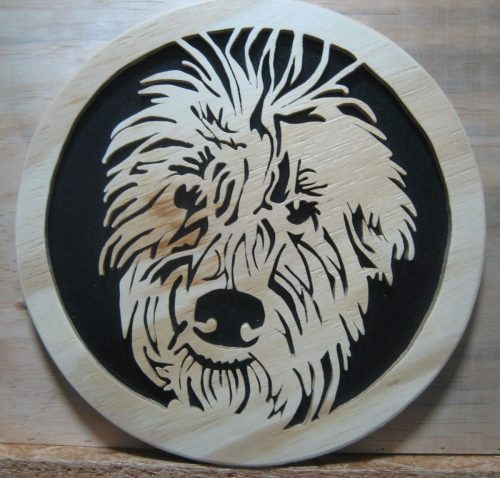 soft coated wheaton terrier