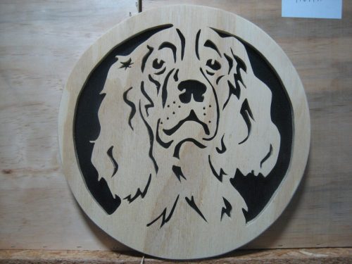 springer spaniel