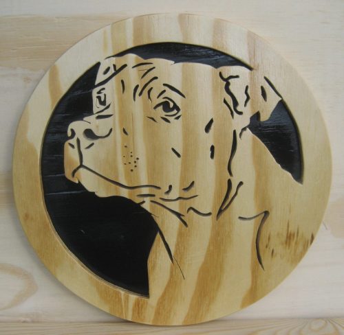 staffordshire bulterrier