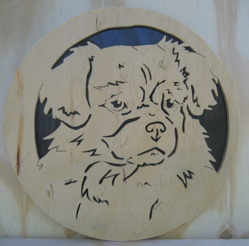 tibetaanse spaniel